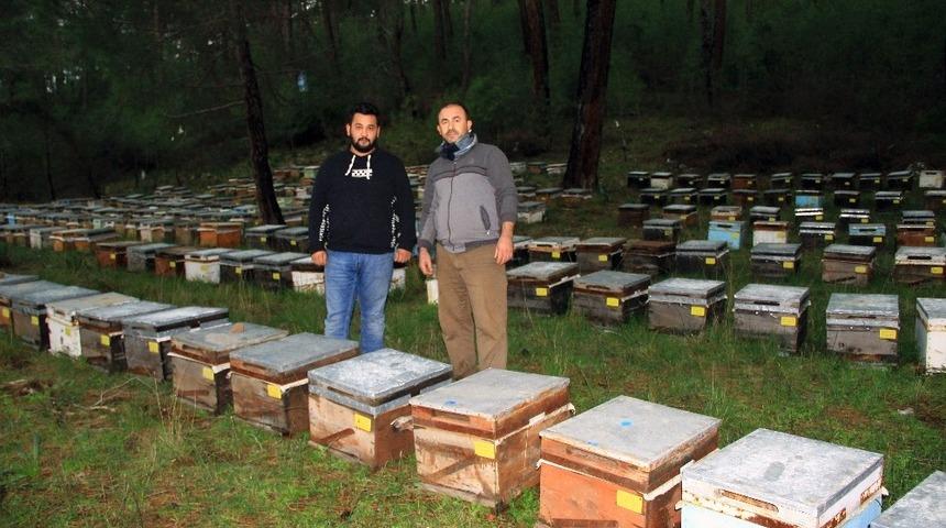 Yağışlar bal &uuml;reticisini sevindirdi