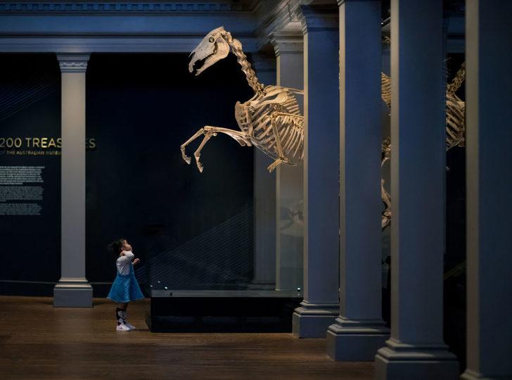 Panasonic Fotoğraf Yarışması'nda ödül alan fotoğraflar  G1