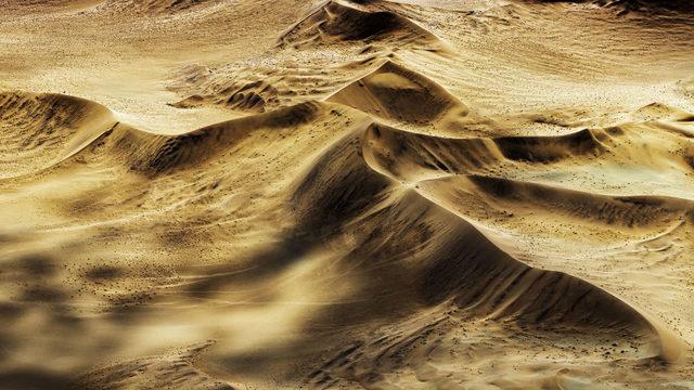 Panasonic Fotoğraf Yarışması'nda ödül alan fotoğraflar 