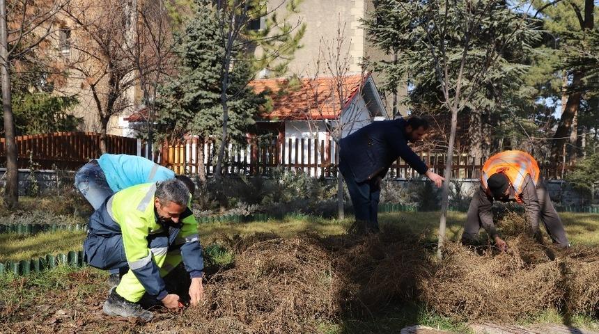 &Ccedil;ankırı&rsquo;da budama &ccedil;alışmaları başladı