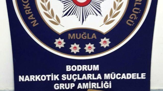 Kargo paketindeki 'skunk'ı Molly buldu