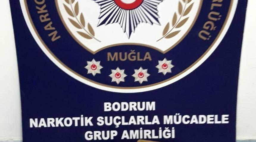 Kargo paketindeki 'skunk'ı Molly buldu