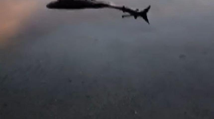 Krater g&ouml;l&uuml;nde telef olmuş at bulundu