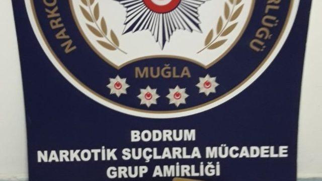 Kargodan uyuşturucu çıktı