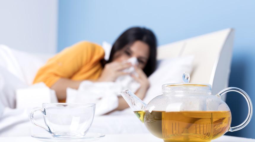 Gribe karşı bağışıklığı g&uuml;&ccedil;lendiren besinler nelerdir?