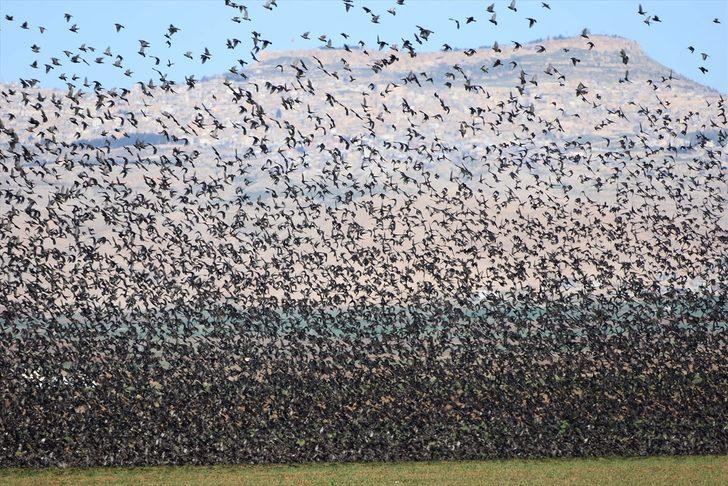 Gökyüzü görünmedi! Bu kare Mardin'de çekildi G1