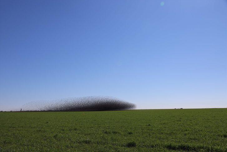 Gökyüzü görünmedi! Bu kare Mardin'de çekildi G2