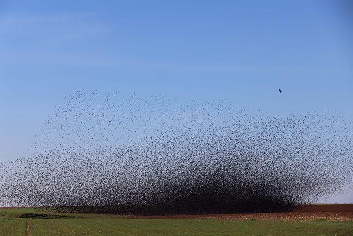 Gökyüzü görünmedi! Bu kare Mardin'de çekildi G3