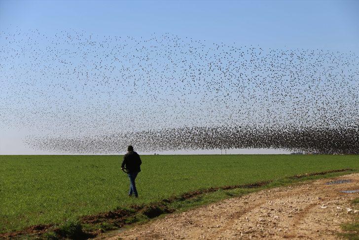 Gökyüzü görünmedi! Bu kare Mardin'de çekildi G4