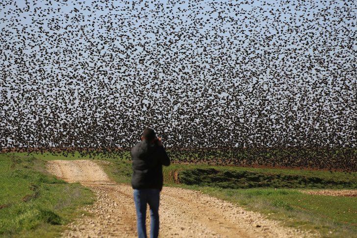 Gökyüzü görünmedi! Bu kare Mardin'de çekildi G5