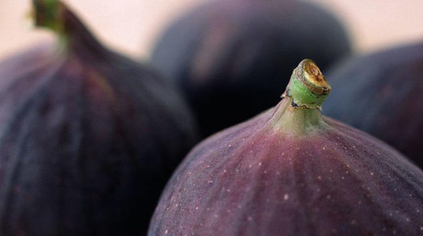 Dünyanın en kaliteli siyah inciri kabul edildi! Coğrafi  işaret tescil belgesi aldı
