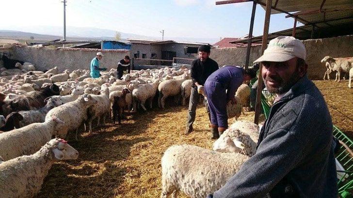 Günyüzü İlçe Tarım ve Orman Müdürlüğü 2018 yılı faaliyetleri G1