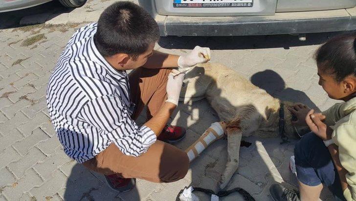 Günyüzü İlçe Tarım ve Orman Müdürlüğü 2018 yılı faaliyetleri G2