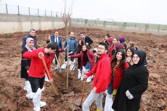 Cizre Kızılay Şubesi şenlendirme projelerine devam ediyor