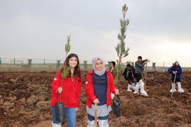 Cizre Kızılay Şubesi şenlendirme projelerine devam ediyor