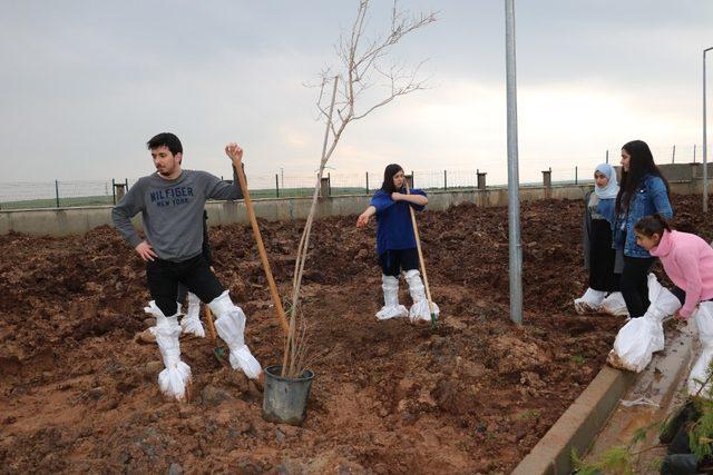 Cizre Kızılay Şubesi şenlendirme projelerine devam ediyor