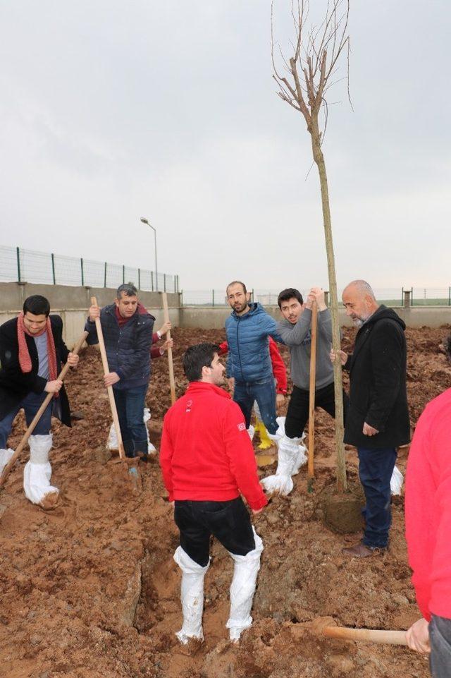 Cizre Kızılay Şubesi şenlendirme projelerine devam ediyor