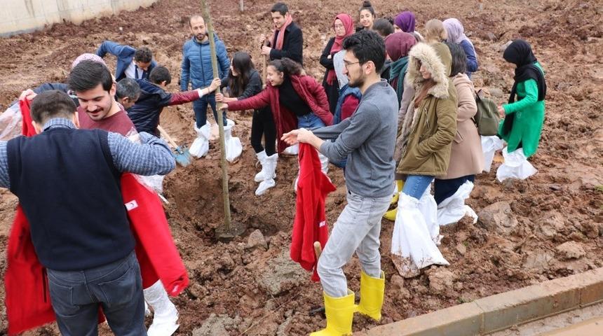 Cizre Kızılay Şubesi şenlendirme projelerine devam ediyor