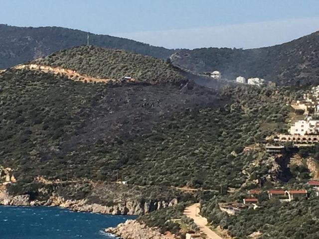 Kaş'ta zeytinlik ve fundalık alanda yangın (2)