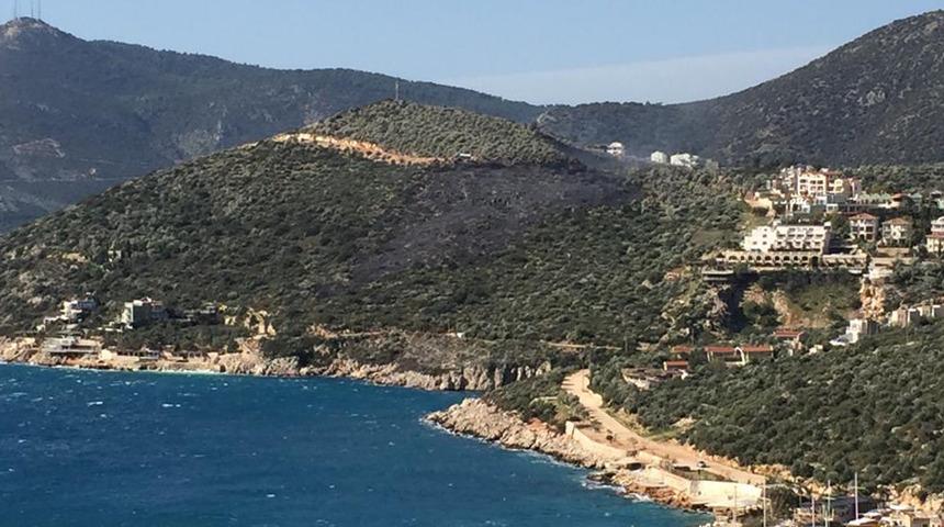 Kaş'ta zeytinlik ve fundalık alanda yangın (2)