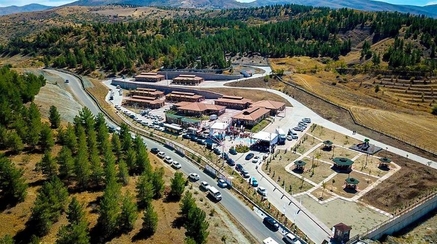 2018 yılı i&ccedil;erisinde 2 bin sokak hayvanının bakımı yapıldı