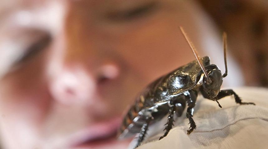 Hayvanat bah&ccedil;esinden kampanya: Hamam b&ouml;ceğine eski sevgilinizin ismini verin