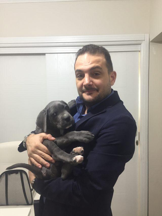 Yavru köpek 'duman' haczedildi; avukatı itiraz etti...