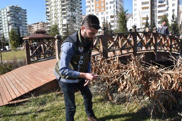 Parklarda saklanan kesici aletler bulundu