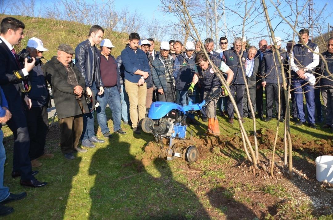 Fındık bah&ccedil;elerinde doğru uygulamalar verimi arttırıyor