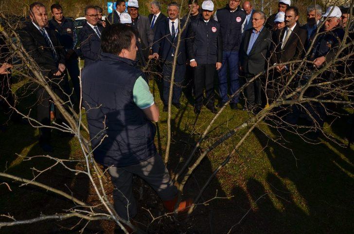 Fındık bahçelerinde doğru uygulamalar verimi arttırıyor G3