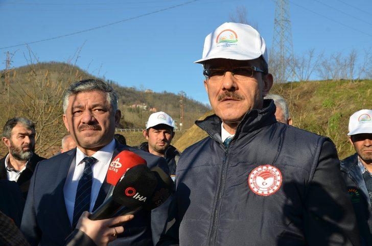 Fındık bahçelerinde doğru uygulamalar verimi arttırıyor G4