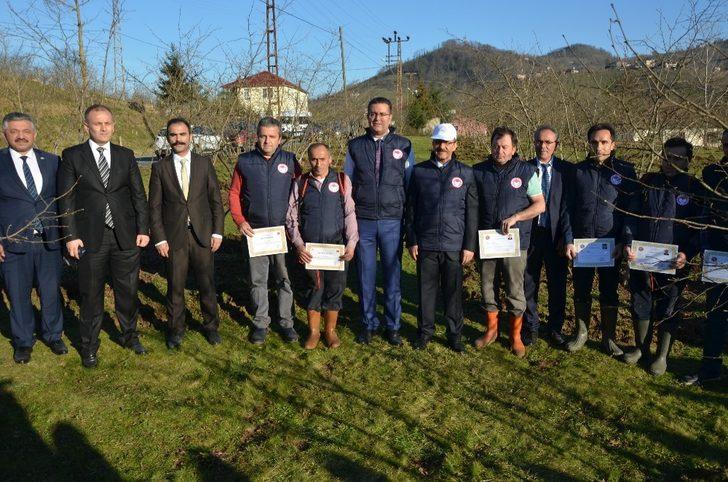 Fındık bahçelerinde doğru uygulamalar verimi arttırıyor G5