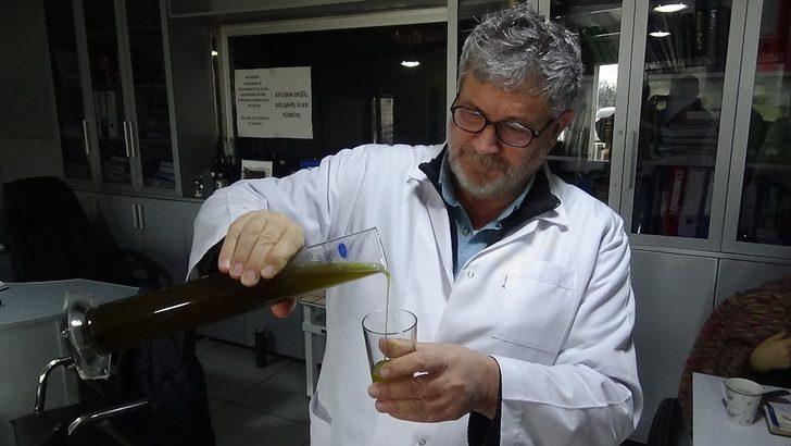 (Özel) Her ev bir zeytinyağı fabrikası olacak G4