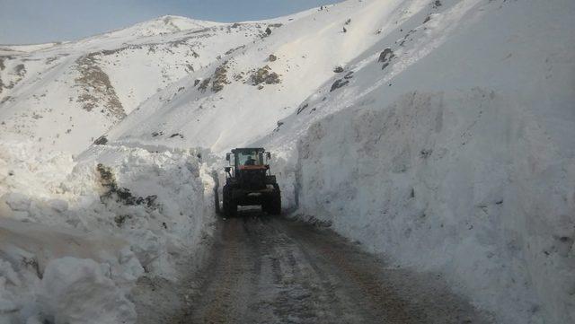 Çığın kapatığı mezra yolu ulaşıma açıldı