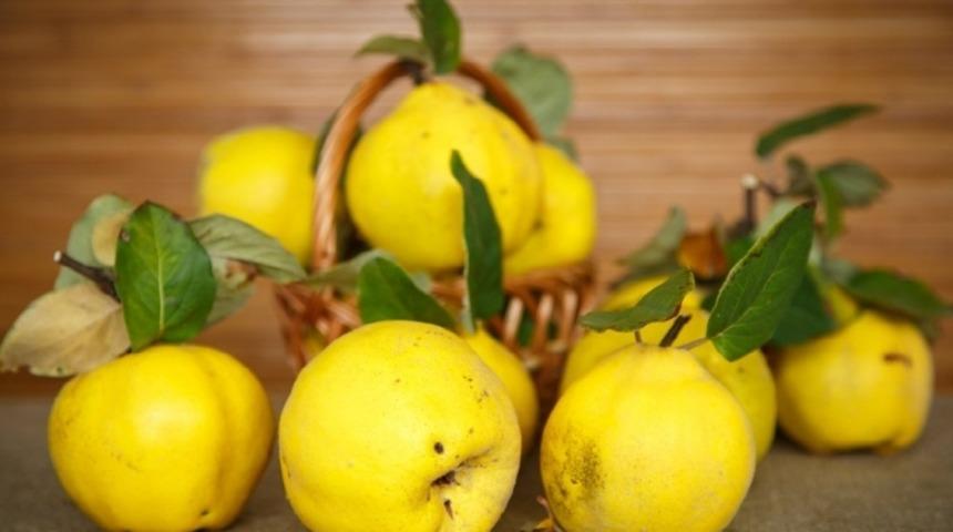 Alerjiye İyi Gelen Yiyecekler