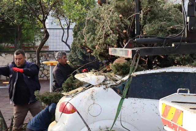 Bodrum'da fırtına etkili oldu