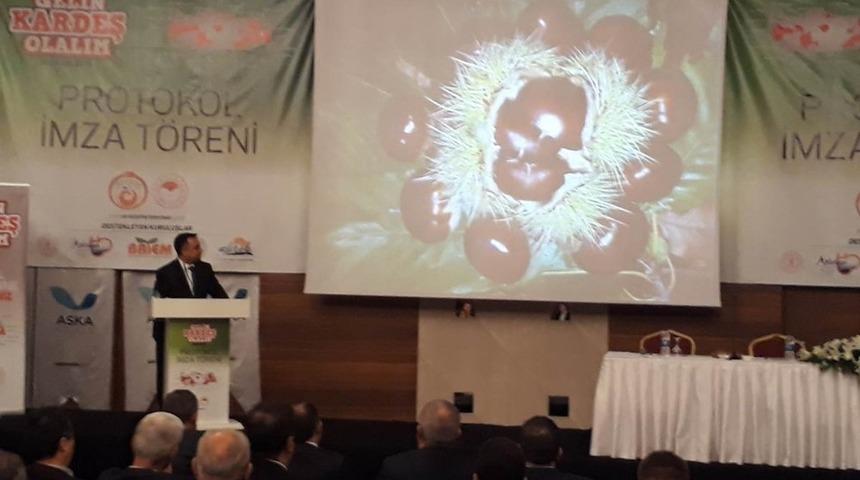 &rsquo;Gelin kardeş olalım&rsquo; projesi