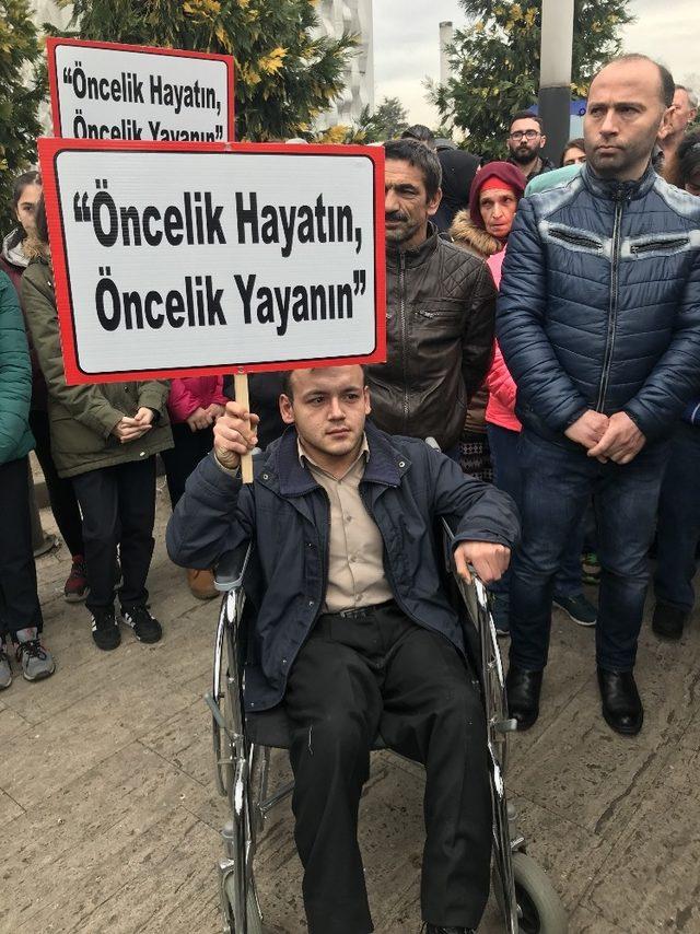 Ordu’da yaya geçitlerinde ‘öncelik yayanın’