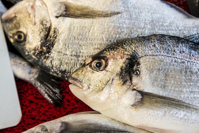 Son derece önemli Bozuk balık nasıl anlaşılır?