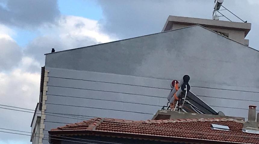 &Ccedil;atıda mahsur kalan yavru kedi kurtarıldı