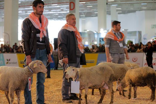 En büyük tarım fuarı AGROEXPO, İzmir’de kapılarını açıyor