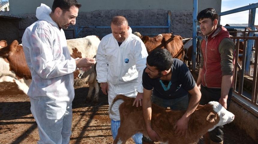 Aksaray&rsquo;da &uuml;reticiler hayvan hastalıkları konusunda bilgilendirildi