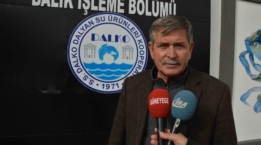 Dalyan&rsquo;da kefal balığı festivali