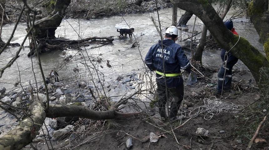 &Ccedil;ayda mahsur kalan k&ouml;pekleri itfaiye kurtarıldı
