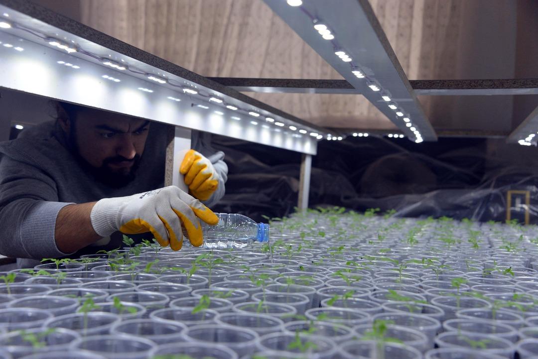 Sebze pahalı deyip evinin salona sera kurdu 