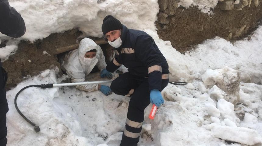 Göçük altında kalan yavru köpekler kurtarıldı