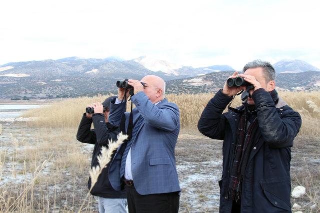 Batı Akdeniz de 583 bin 180 su kuşu sayıldı 2