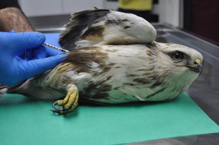 Ateşli silahla vurulmuş halde bulundu! Hemen tedavi altına alındı G2