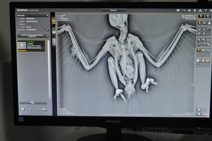 Ateşli silahla vurulmuş halde bulundu! Hemen tedavi altına alındı G3