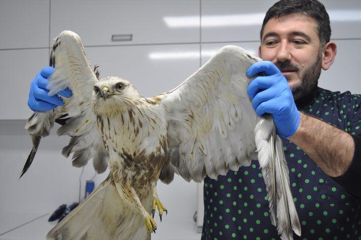 Ateşli silahla vurulmuş halde bulundu! Hemen tedavi altına alındı G1